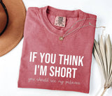 Funny Short Patience Quote Shirt, Vintage Graphic Tee