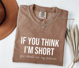 Funny Short Patience Quote Shirt, Vintage Graphic Tee
